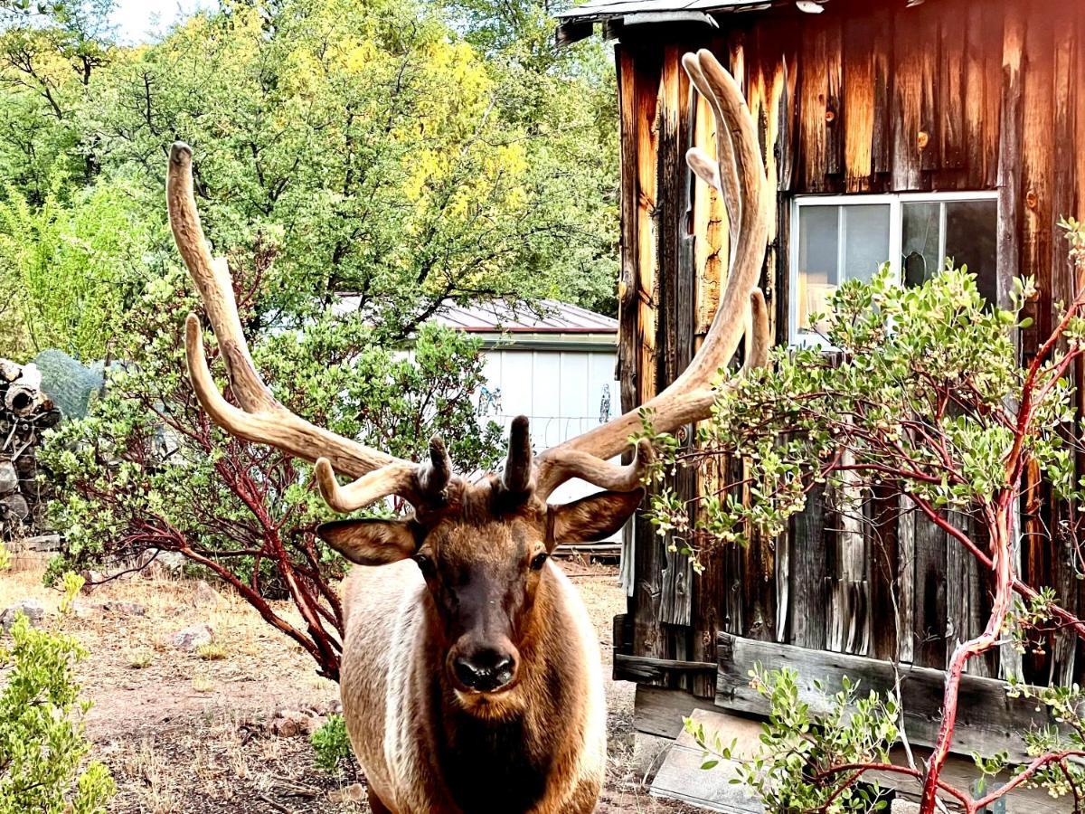 Hidden Gem Retreat In The Heart Of Payson Villa Exterior photo