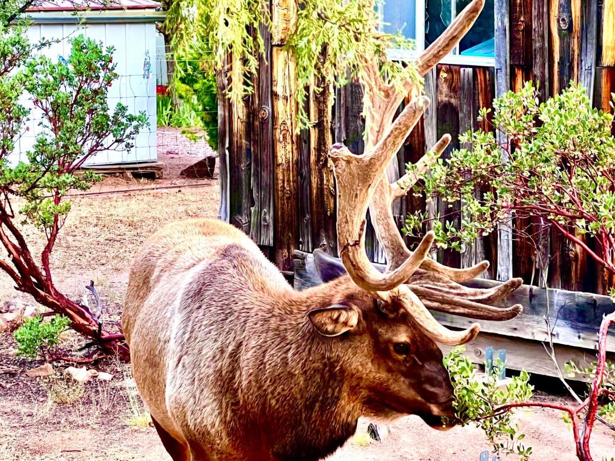 Hidden Gem Retreat In The Heart Of Payson Villa Exterior photo